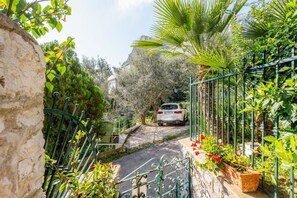 A narrow, stone-paved pathway flanked by lush greenery and a white car parked at the end.