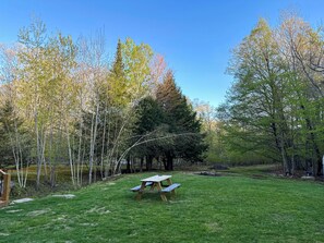 Une table de pique-nique située dans un espace herbeux, entourée d’arbres.