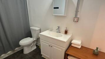 Hair dryer, towels, soap, toilet paper