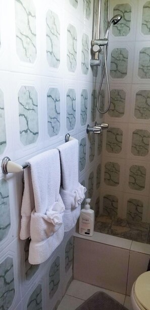 Shower, towels, soap, toilet paper