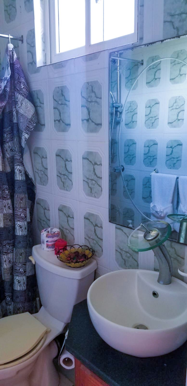 Un baño con inodoro, lavamanos y ducha.