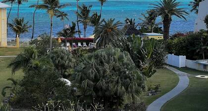 ST CROIX DAYDREAM - 2 bd/2 bth seaside condo with pool and onsite beach