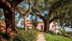 Exterior - Valdelaseras (La Codosera)