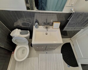 Serviettes fournies, savon, papier toilette