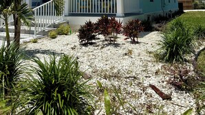 Una casa azul claro con el número 509, un porche con barandillas blancas y un pequeño jardín con diversas plantas.