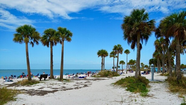Una playa con palmeras y gente tomando el sol.