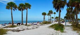 Cozy & Modern Coastal Retreat- Steps from the Sponge Docks!