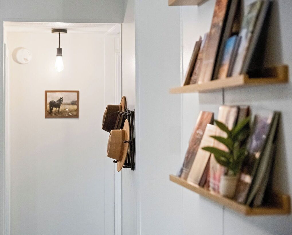 Un pasillo con una puerta, una lámpara, un cuadro enmarcado y una estantería con libros y una planta.