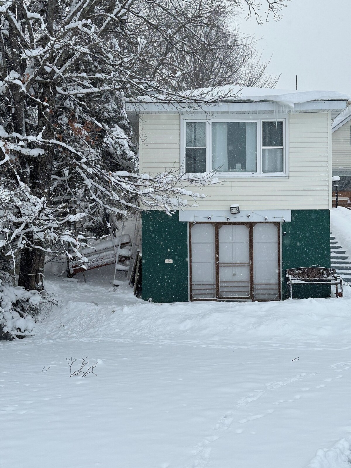 Imagen de perfil del propietario o de la propietaria