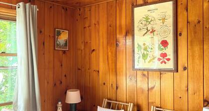 Lakefront 1950s Boathouse - Hagerman Hideaway
