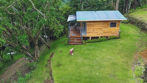 A wooden cabin with a metal roof, surrounded by lush greenery and a grassy area.
