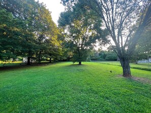 Property grounds - Cozy 3bd + 2 Bath Home in HSV w/ Spacious Backyard (Huntsville)