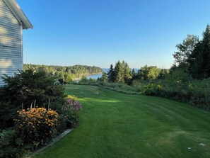 Área da propriedade