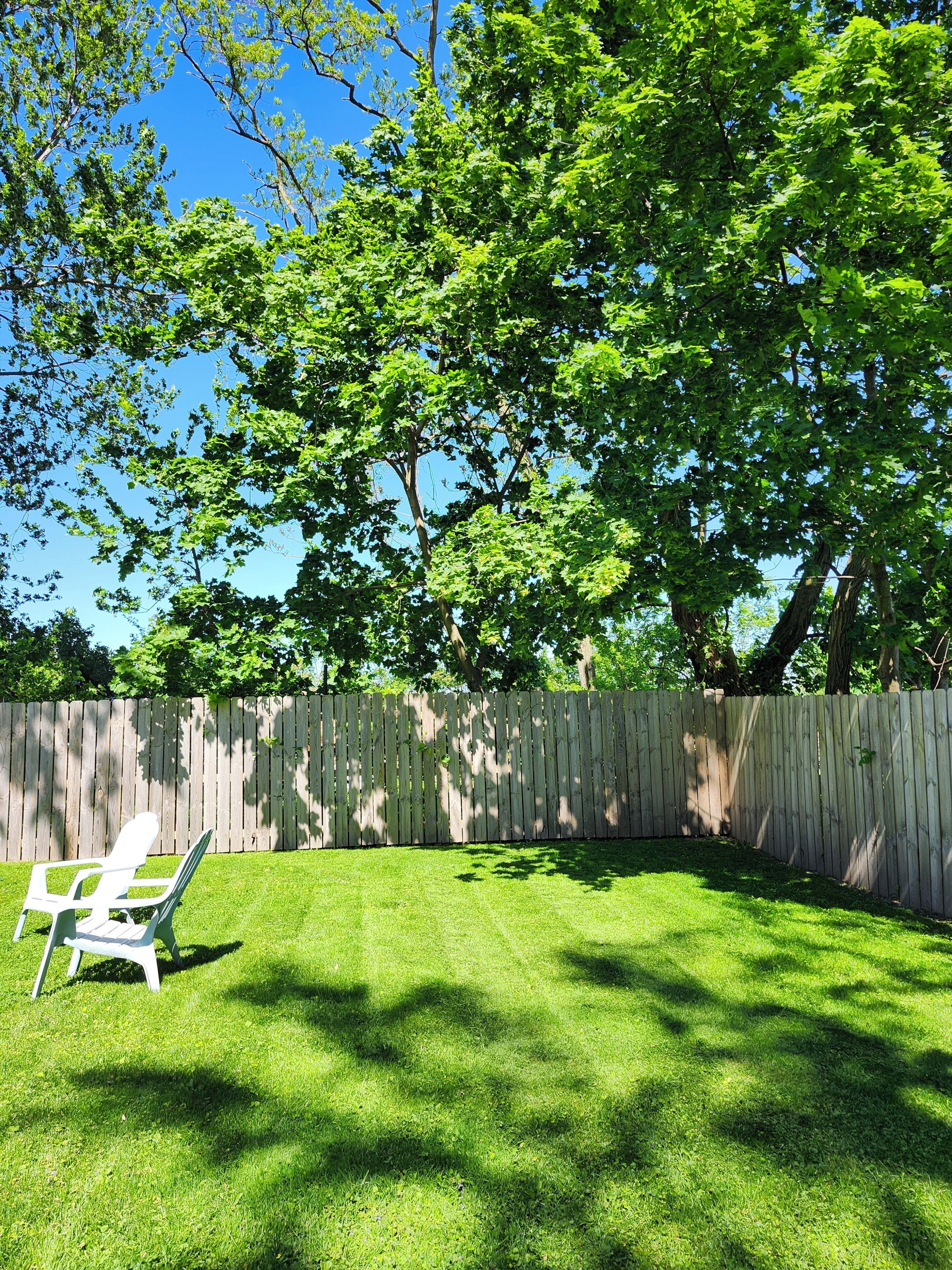 A backyard with a wooden fence, a lawn, and a white lawn chair.