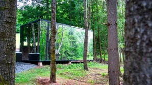 A modern, glass-enclosed cabin in a forest. - MIRROR CABIN IN THE FOREST WITH HOT TUB (Windham)