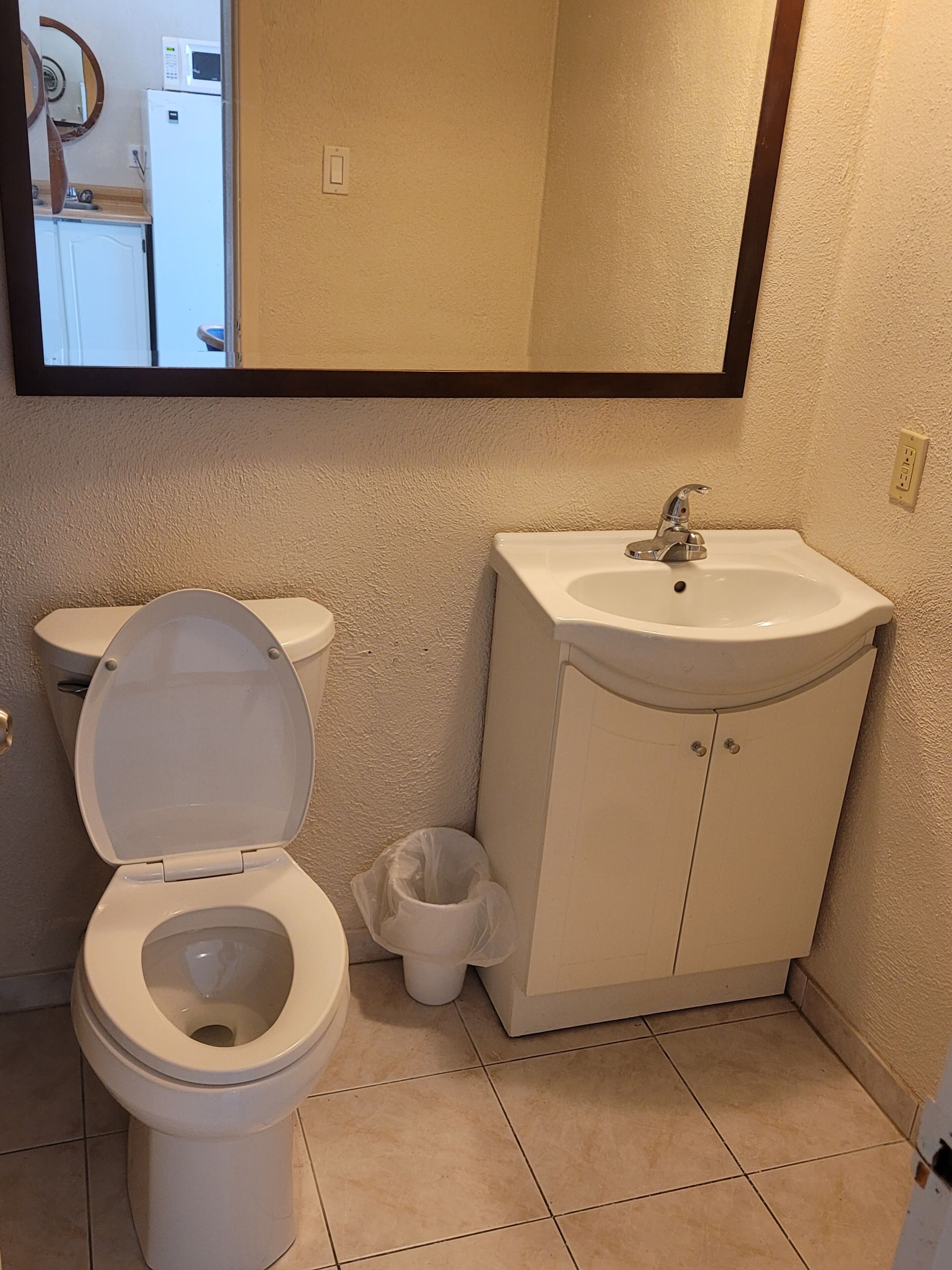 A bathroom with a toilet, sink, and mirror.