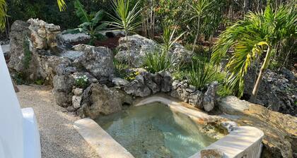 Hidden Cenote/ Eco Hotel