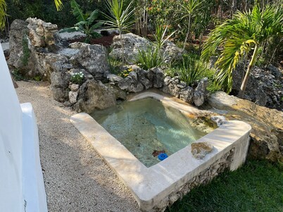 Cenote escondido/ Eco Hotel