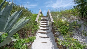 Una escalera de madera que asciende por un sendero arenoso rodeado de vegetación verde.