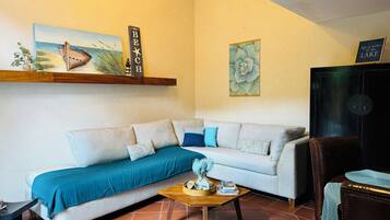 Smart-TV, DVD-Player, Videothek