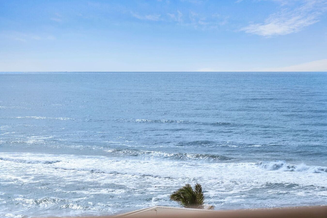 Une vue sur l’océan, avec des vagues qui déferlent sur le rivage, un palmier et un ciel dégagé.
