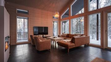 Télévision, cheminée, chaßne hi-fi