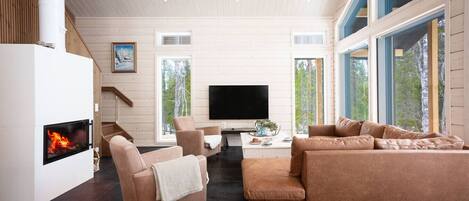 Télévision, cheminée, chaîne hi-fi