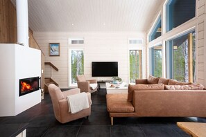 Télévision, cheminée, chaîne hi-fi