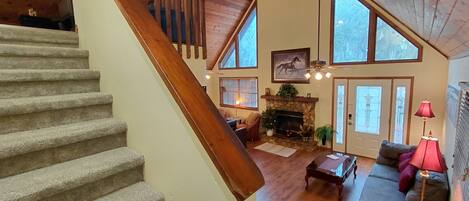 Smart TV, fireplace, books