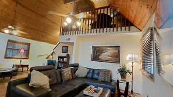 Smart TV, fireplace, books