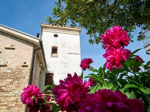 Terrain de lâhĂ©bergement