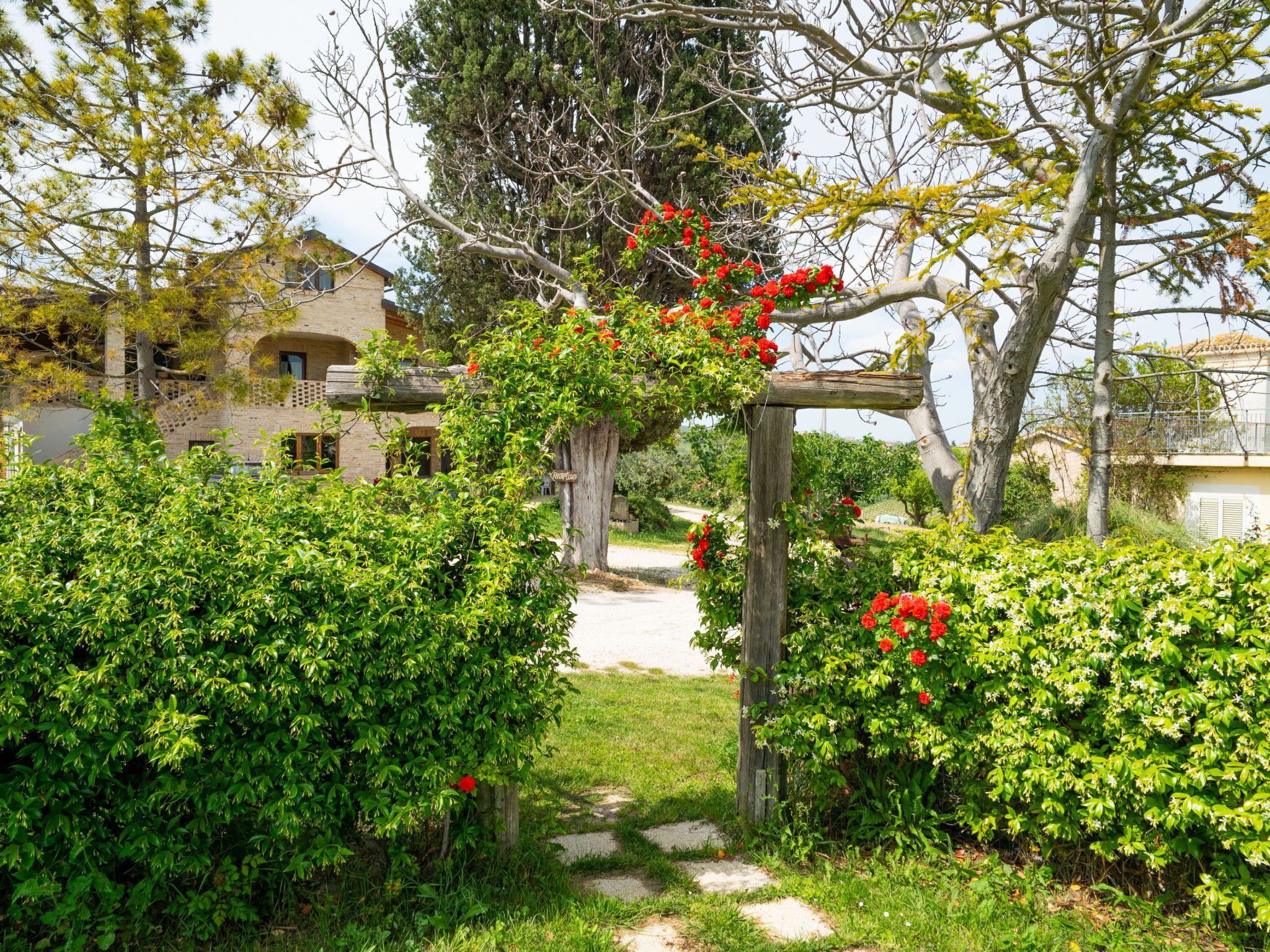 A garden with a wooden arbor covered in red flowers, a pathway, and a building with a balcony in the background.