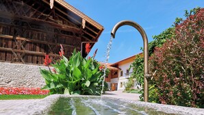 Uma fonte com água a correr para uma piscina, rodeada por vegetação e um edifício com fachada de madeira.