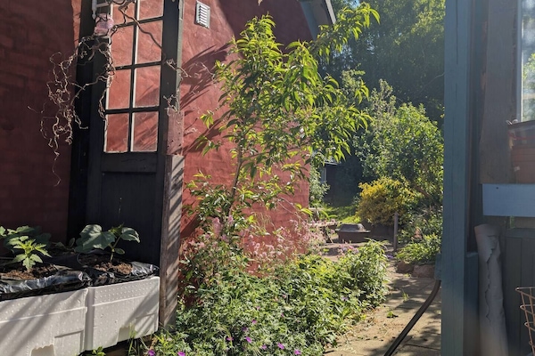 Enceinte de l’hébergement