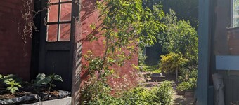 Colorful home on a natural plot with its own small forest