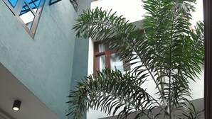 Un edificio con marco de ventana azul, un ventilador grande y una planta en maceta.