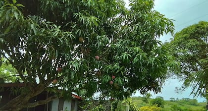 Room-private Villa in Tonge, Fiji