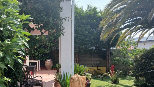 Un sendero de jardín con plantas en macetas, un banco y una estructura decorativa tejida.