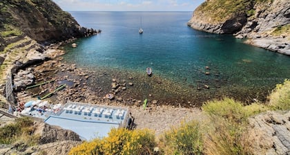 Apartment surrounded by nature within walking distance of free hot springs