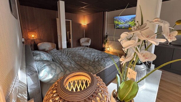 Een moderne slaapkamer met een bed, twee stoelen, een televisie en decoratieve planten.