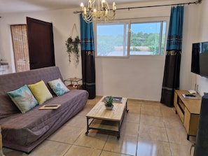 Smart TV, fireplace, stereo