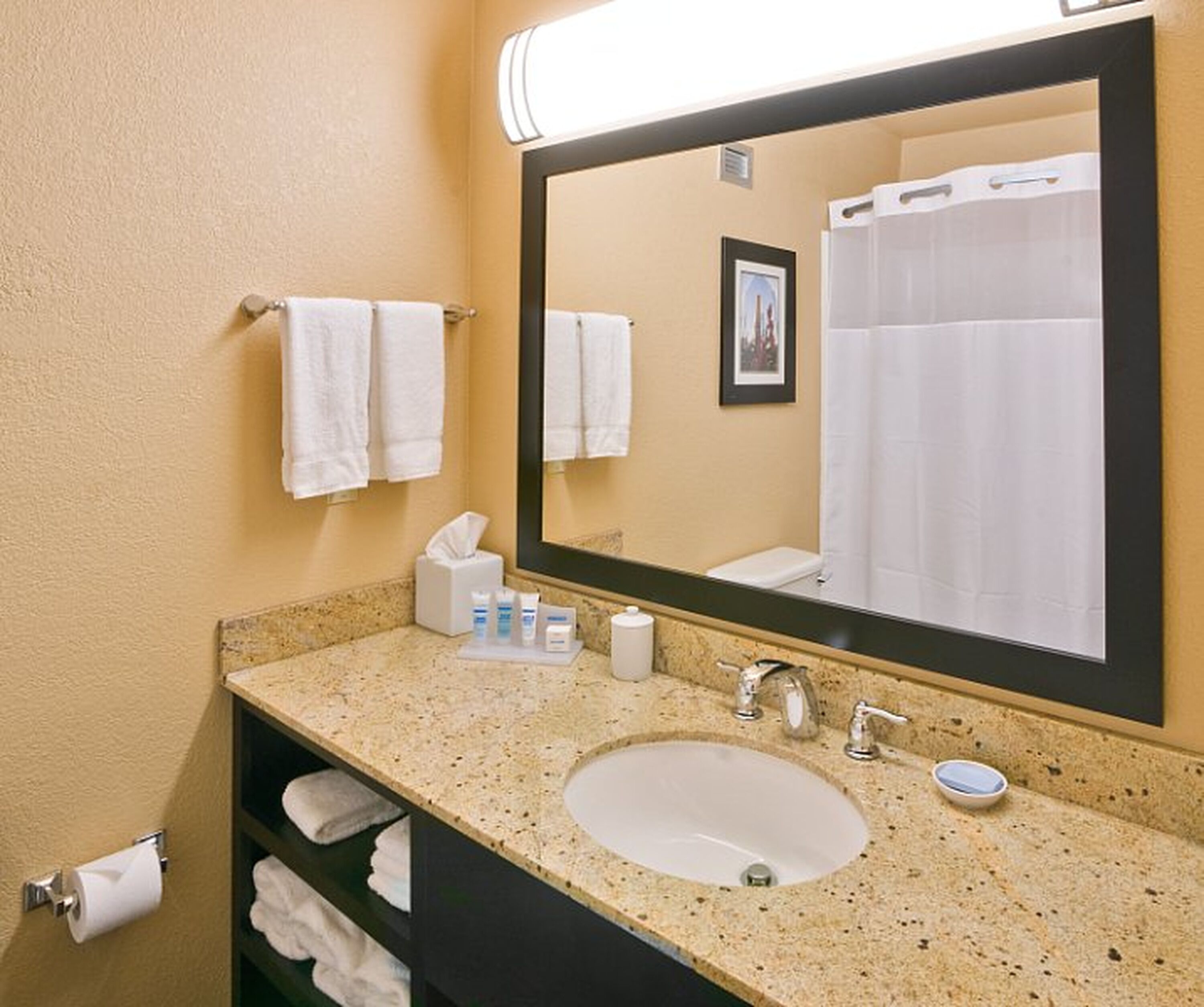 Hair dryer, towels, soap, toilet paper