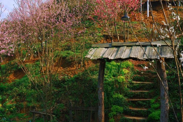 A wooden structure with a thatched roof, surrounded by lush greenery and flowering trees.