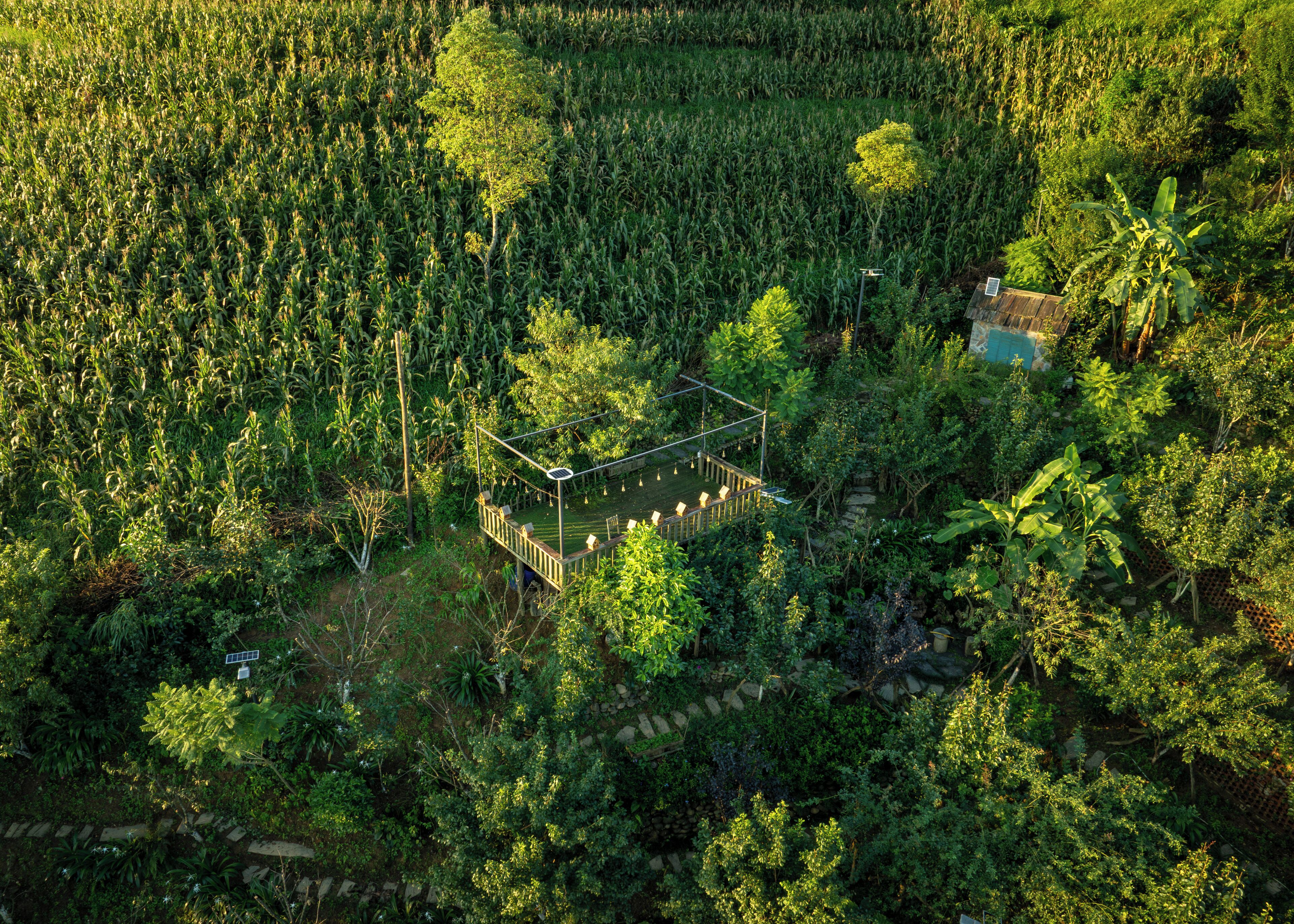 Vue aérienne d’une propriété dotée d’un jardin clos, entourée d’une végétation luxuriante et d’un champ de maïs.