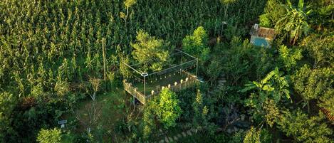 Vue aérienne d’une propriété dotée d’un jardin clos, entourée d’une végétation luxuriante et d’un champ de maïs.