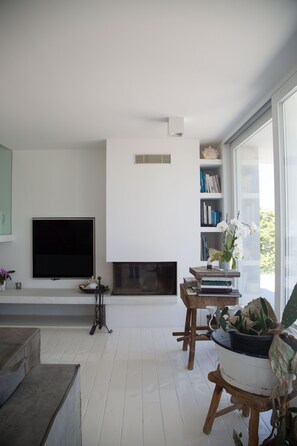 TV, fireplace