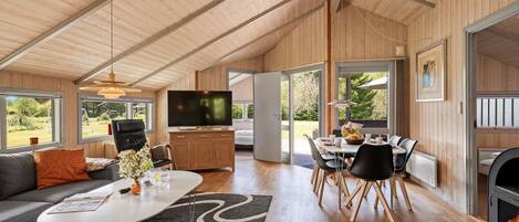 TV, fireplace, DVD player