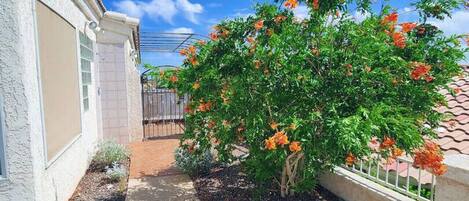 A residential area with a pathway leading to a house with a white exterior and a small garden with orange flowers.