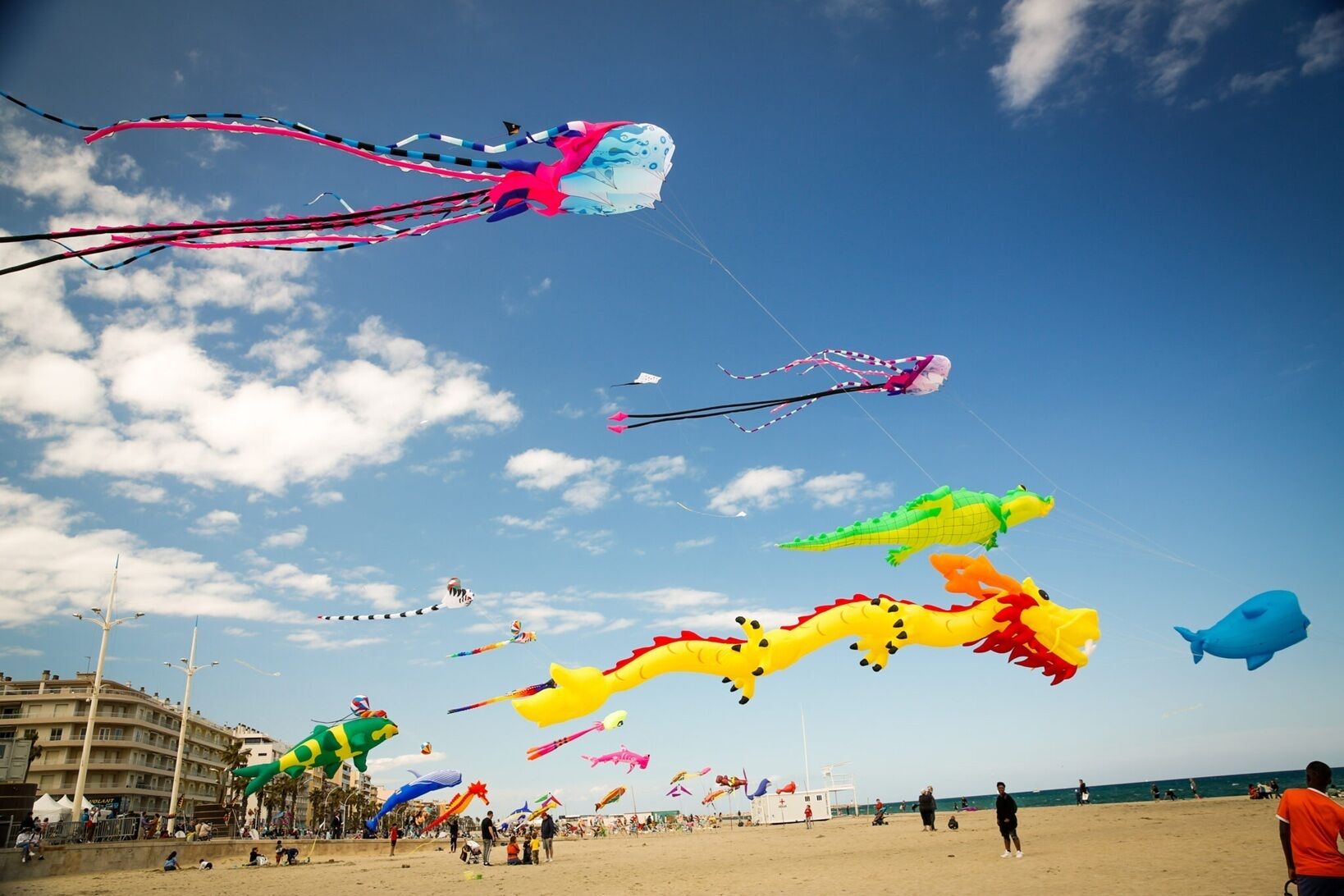 A beach with various colorful kites flying in the sky.