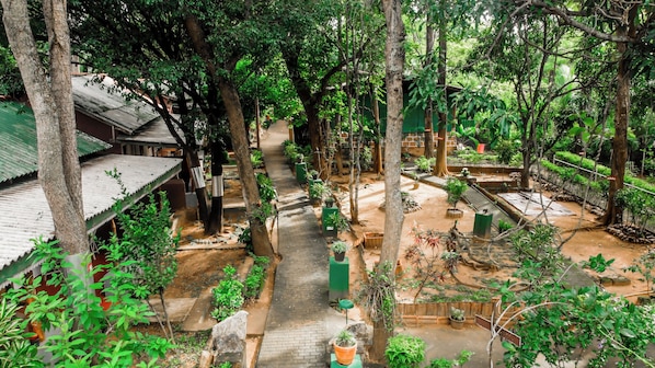 Jardin